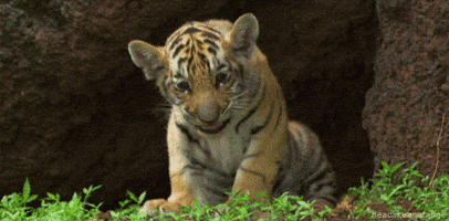 200.gif
