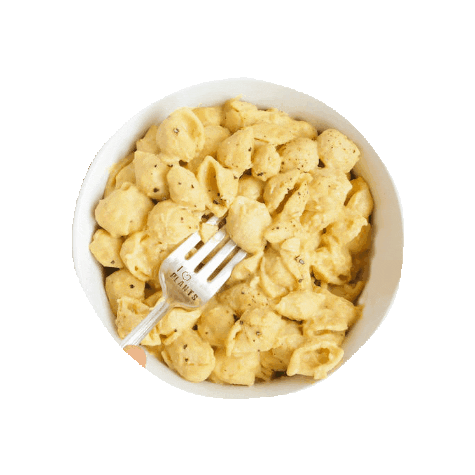 Sinful Nutrition Sticker