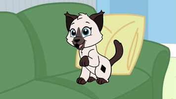 Alice Makes Biscuits | My Pet