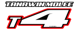 Team Flamingo Sticker by SMD Graphics