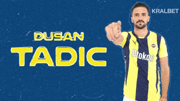 Tadic Dusan GIF by KralBet
