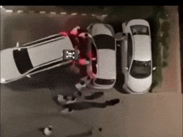 Carl Punjabi GIF