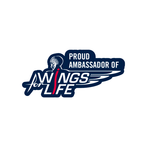 Wfl Spinal Cord Injury Sticker by Wings for Life