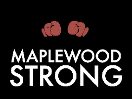 TITLE Boxing Maplewood GIF
