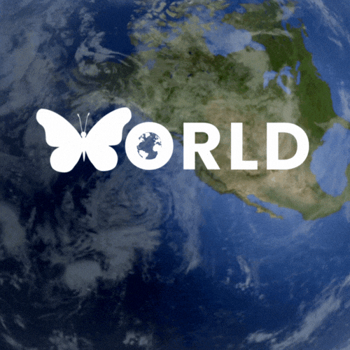 World Tourism GIF by Green Initiative