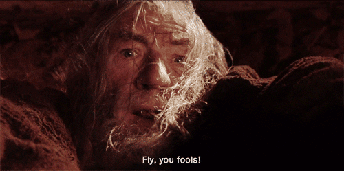Fly You Fools Lord Of The Rings GIF by Maudit - Find & Share on GIPHY