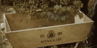 rtvelisi GIF