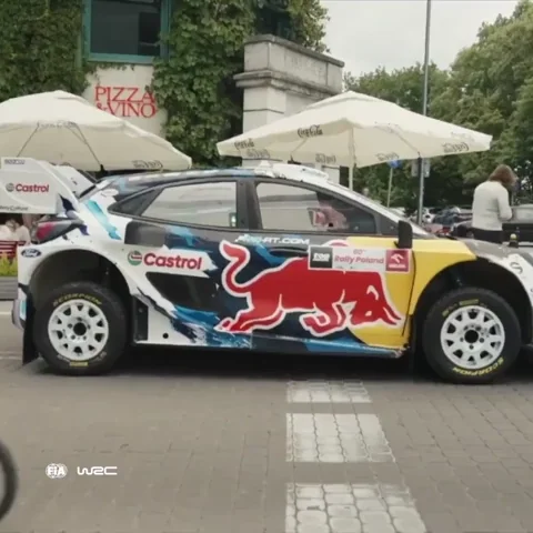 Poland Overtake GIF by FIA World Rally Championship