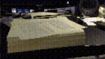 Slow Motion GIF