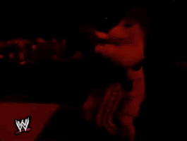 wrestlemania xv wrestling GIF by WWE