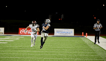football catch GIF by University of New Hampshire