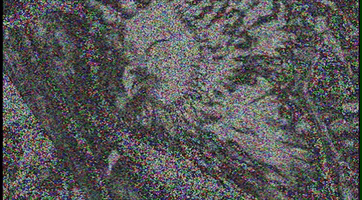 Spoiler Kimfest GIF