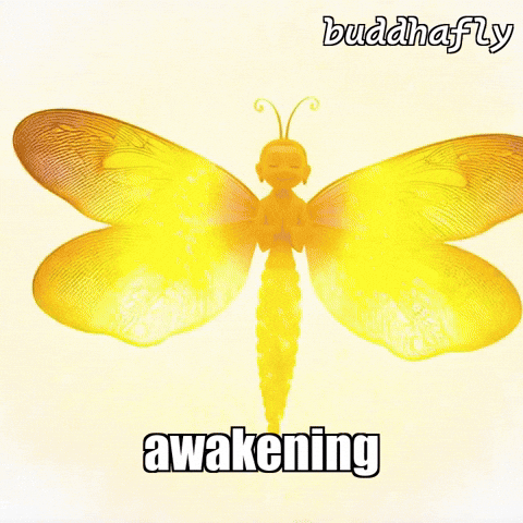 Spiritual GIF by BuddhaFlyJourney