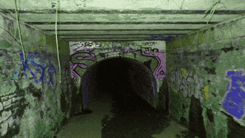 Trippy GIF