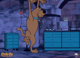 Scooby Doo Walk GIF by Boomerang Official