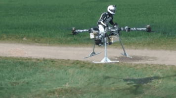 theavc  GIF