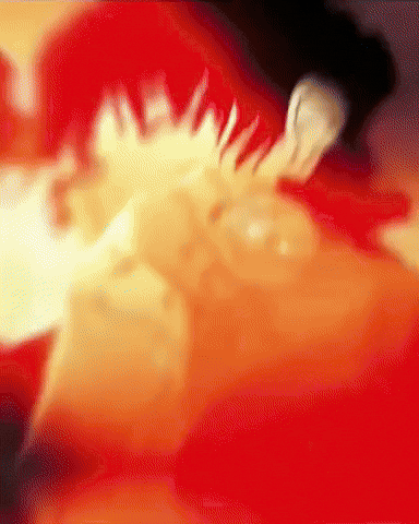 Jjk Jujutsu Kaisen GIF