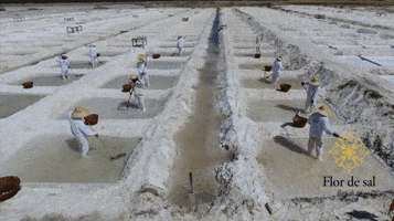 Salt Seasalt GIF by Cimsal