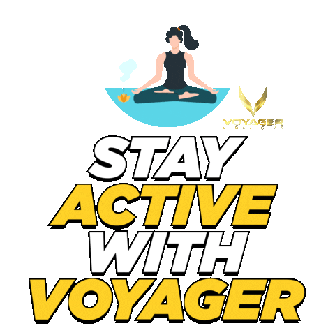 Voyager Nation Sticker