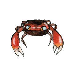 Crab Sticker