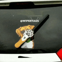 sticker waving GIF by WiperTags Wiper Covers