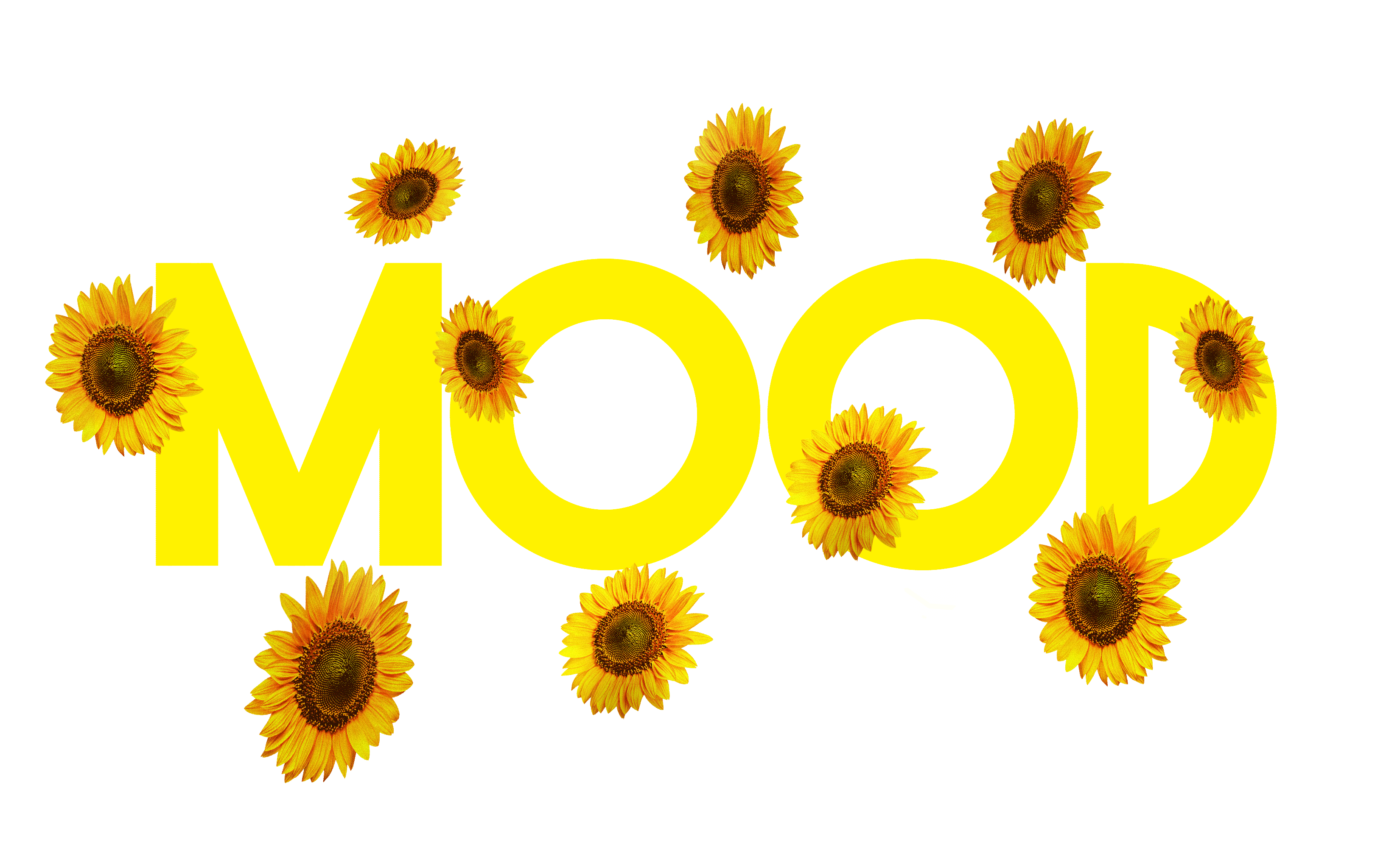 Mood Tiger Sticker by ASICSTIGER for iOS & Android | GIPHY