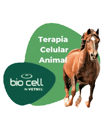 Terapia Celular Sticker by BIO CELL by Vetnil