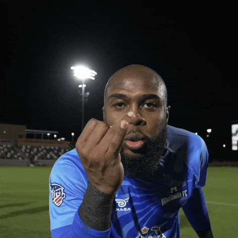 Renegades Upsl GIF by Diaza Football