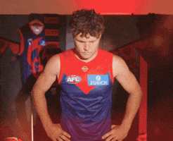 Melbourne Demons Afl GIF by Melbournefc