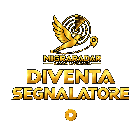 Migraradar Sticker