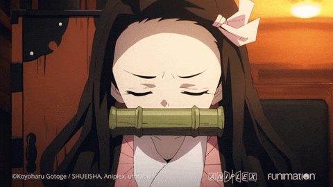 favorite anime/video game