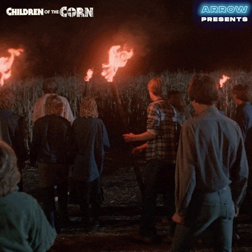 [Image: giphy.gif]