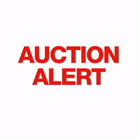 Auction GIF by Euro Auctions