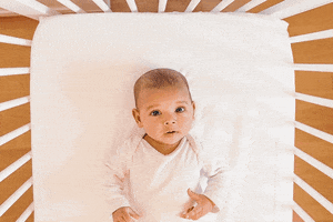 Claire Bear Foundation GIF