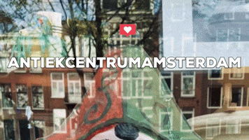 Amsterdam GIF