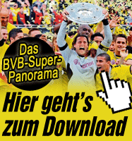 bvb
