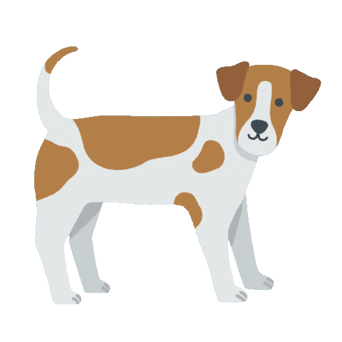 NOOX City Kids Sticker