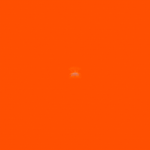 Eduardo Bismarck GIF by GuilhermeBismarck