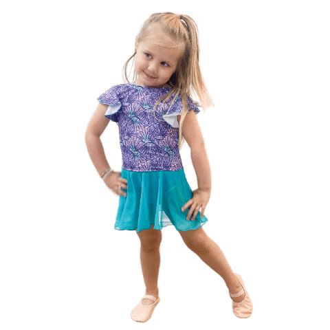 GIF by Bella Ballerina