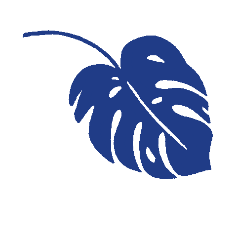 Illustration Sticker