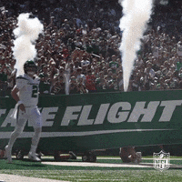 Excited New York Jets GIF by NFL