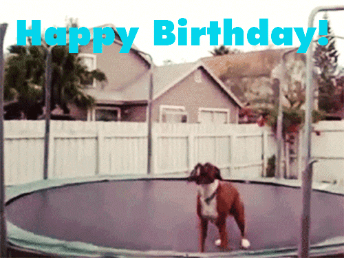 GIF