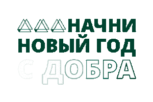 New Year Новый Год Sticker by fondsvet