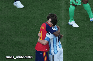 Fifa World Cup Argentina GIF