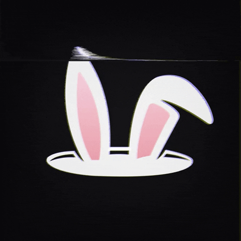 Chase The Rabbit Hole GIF - Find & Share on GIPHY