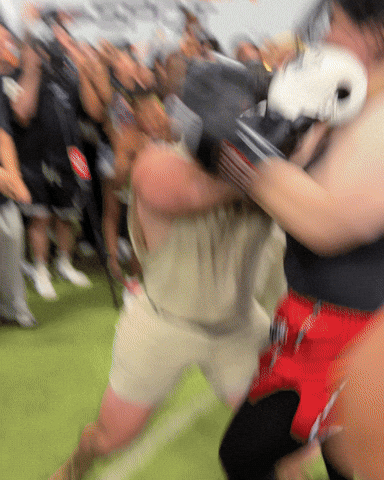 Fight Knockout GIF