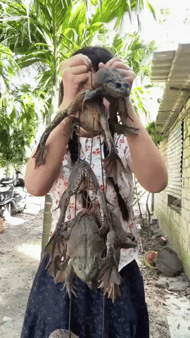 Sisilove GIF