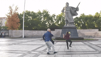 Steelyard Tai Chi GIF