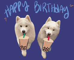 Happy Birthday Dog GIF