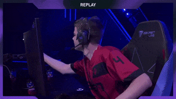 Reaction GIF